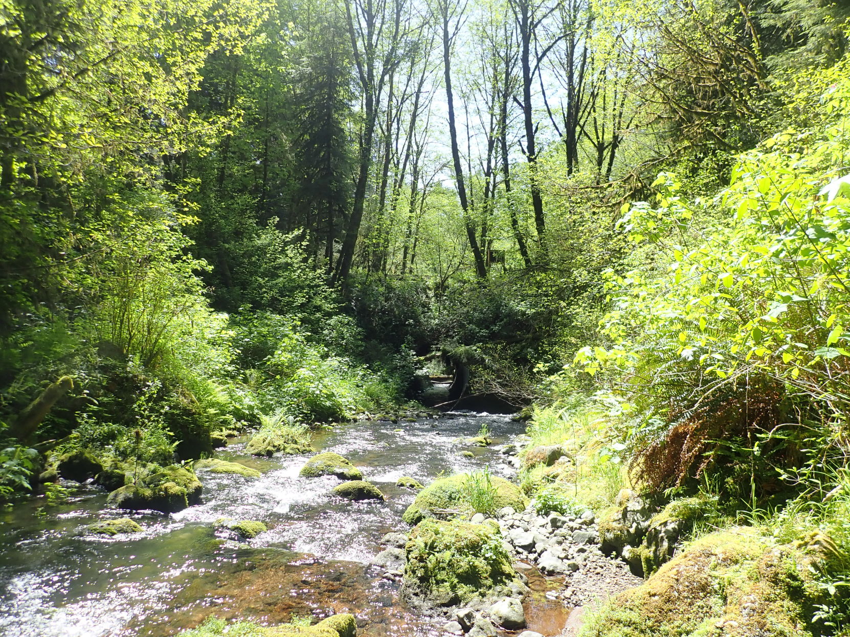 P5080087.JPG